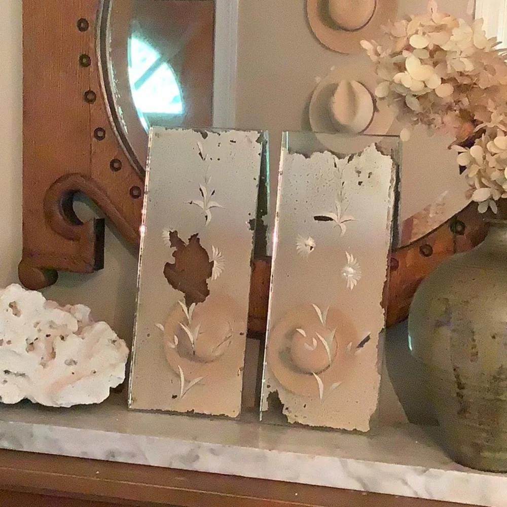 Antique Architectural Salvage Floral Decorative Etched Glass Mirror Side Lights